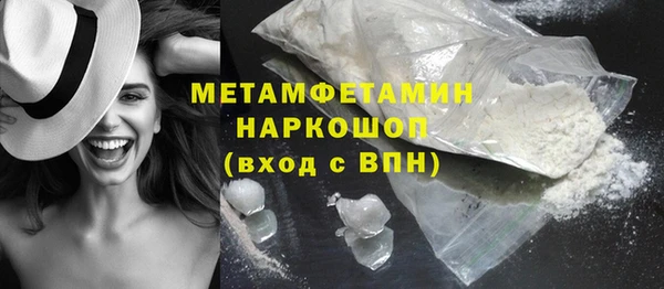 сатива Новокубанск