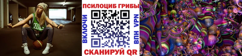 даркнет сайт  Уяр  Галлюциногенные грибы Psilocybe 